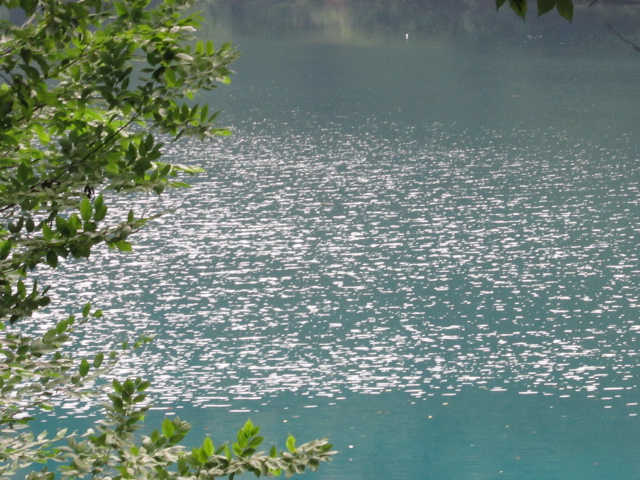 Лепестки Бытия 52-73