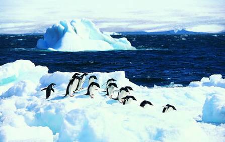 Картинки по запросу "красивые фото из Антарктиды"