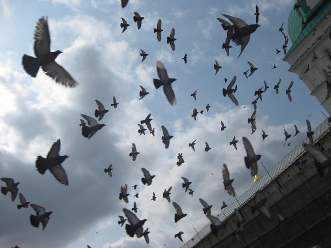 ФОТООТЧЕТ О ПОЕЗДКЕ ГРУППЫ СВЕТА В СЕРГИЕВ ПОСАД 27 АПРЕЛЯ 2013 ГОДА