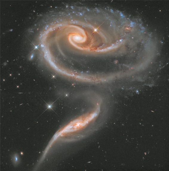 Телескоп «Хаббл» сфотографировал «Космическю розу»